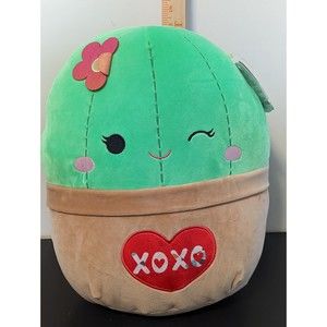 NWT Original Squishmallows 14" Shadi The Cactus Valentines Day